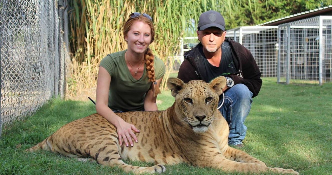 Jeff e Lauren Lowe posando com um tigre