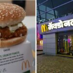 a spicy mcpaneer from mcdonalds, a mcdonalds in india