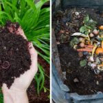 a composting pile and the dirt it creates