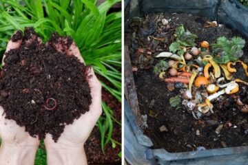a composting pile and the dirt it creates