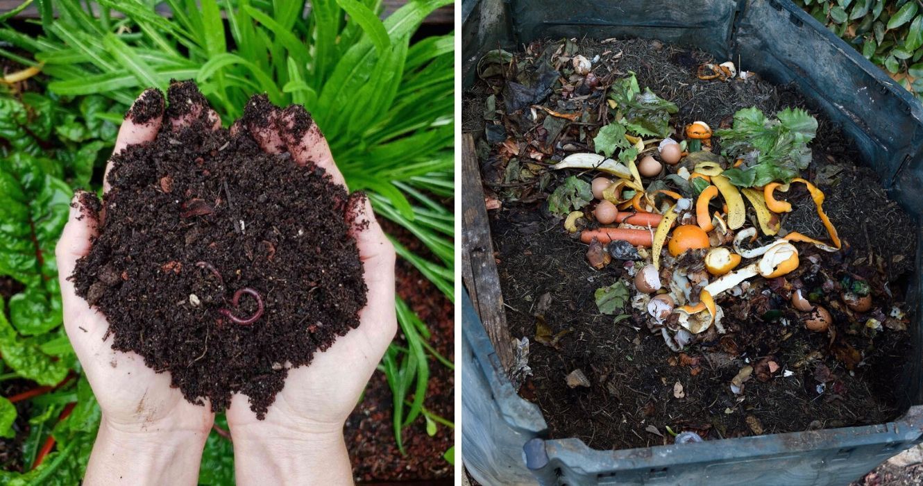 Olhando para ir verde? Aqui estão alguns truques úteis para começar a compostar 1 uma pilha de compostagem e a sujeira que ela cria