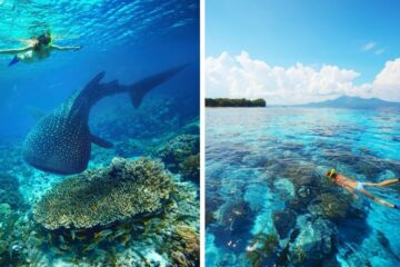 Reef Adventures: lugares onde você pode ver um mundo subaquático inteiro apenas mergulhando