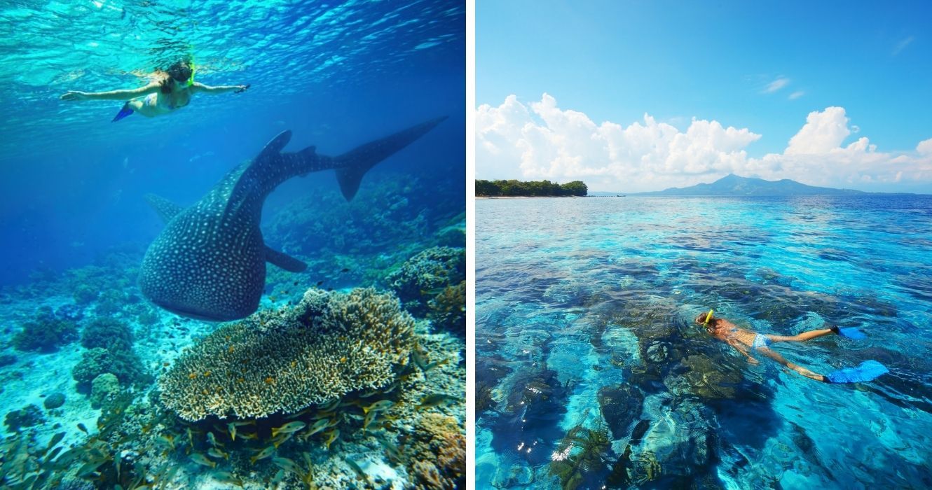 Reef Adventures: lugares onde você pode ver um mundo subaquático inteiro apenas mergulhando 1 Reef Adventures lugares onde voce pode ver um mundo subaquatico