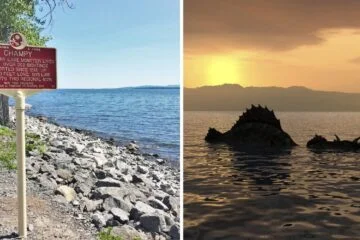 Champ the lake champlain monster