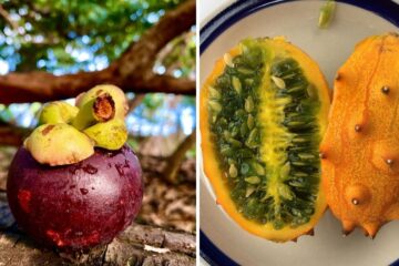 a mangosteen fruit, a horned melon cut in half