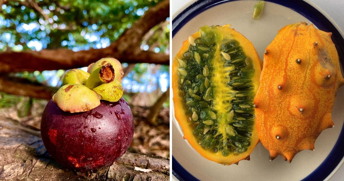 Vale a pena viajar por essas frutas exóticas e aqui é onde você pode encontrá-las 1 uma fruta mangostão, um melão com chifres cortado ao meio