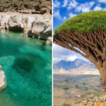 Visitando Socotra: a árvore do sangue do dragão, a lagoa Detwah e muito mais