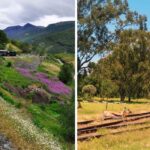 the scenic train in norway, the rovos rail safari train in south africa