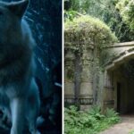 a dire wolf, the entrance to highgate cemetery