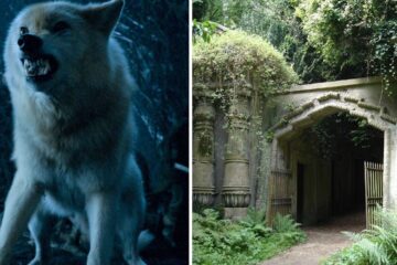 a dire wolf, the entrance to highgate cemetery