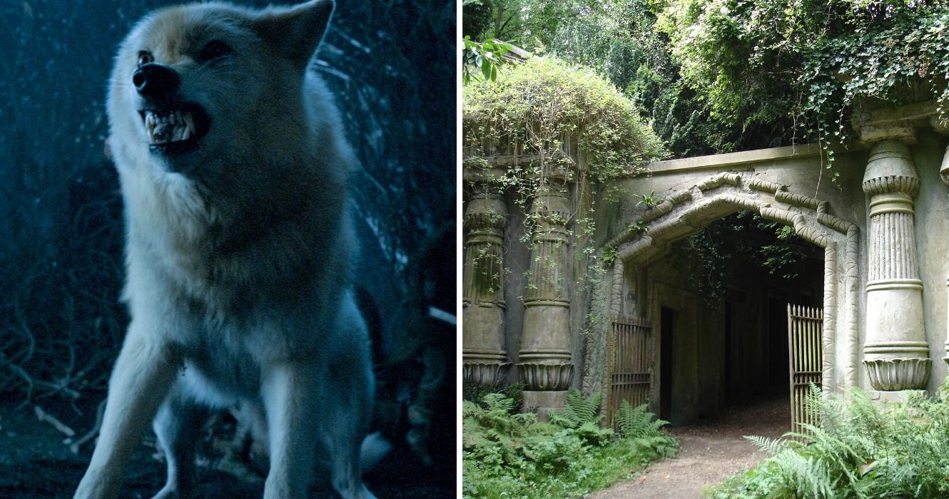 um lobo terrível, a entrada do cemitério de highgate
