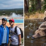 a group takes a selfie at yellowstone, bears go for a swim at yellowstone