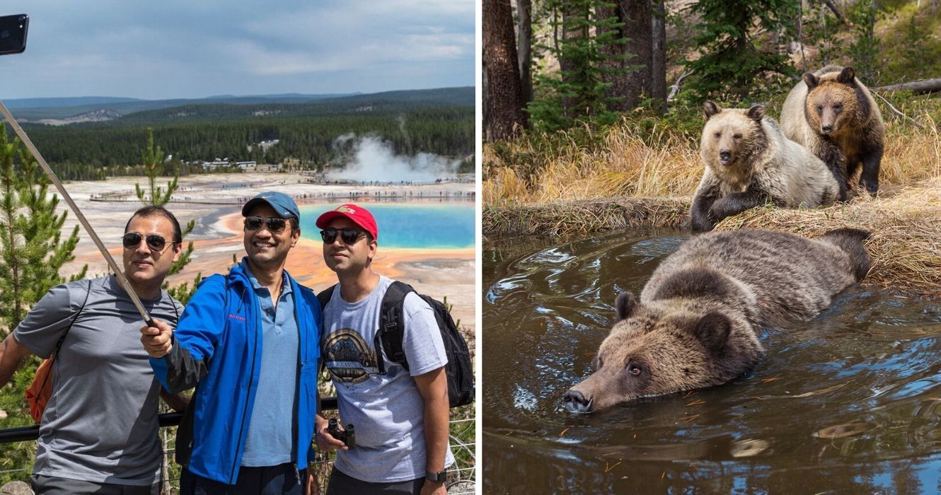 um grupo tira uma selfie em yellowstone, ursos nadam em yellowstone