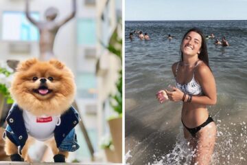 JiffPom dog from Tik Tok in San Francisco/Charli D'Amelio in the Bahamas