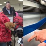Female traveler going through airport security with dog in bag/ TSA agent pointing at luggage belt