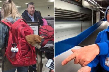 Female traveler going through airport security with dog in bag/ TSA agent pointing at luggage belt