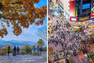 the view from mount takao, shibuya crossing