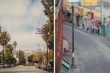 a street lined with palm trees in hollywood, skid row in los angeles