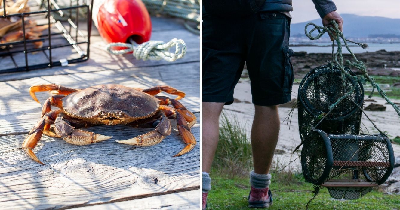 Se você é fã de frutos do mar, experimente comer caranguejo neste verão com um guia útil para iniciantes 1 Se voce e fa de frutos do mar experimente comer