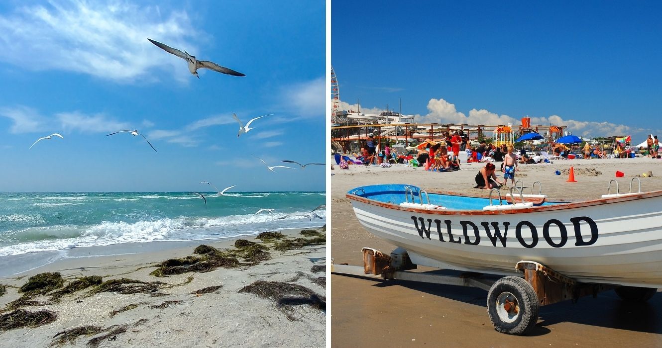 Você pode trazer Fido em suas próximas férias para essas praias para cães 1 praia de fort de soto em forida, praia de wildwood em nova jersey