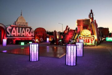neon signs at the boneyard at night