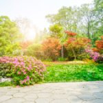 beautiful green park